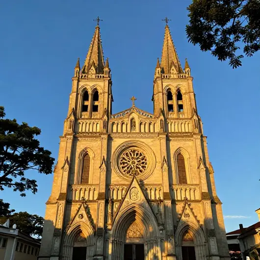 Catedral Metropolitana de São Francisco de Paula: Um Patrimônio de Fé e História Catedral Metropolitana de São Francisco de Paula: Um Patrimônio de Fé e História