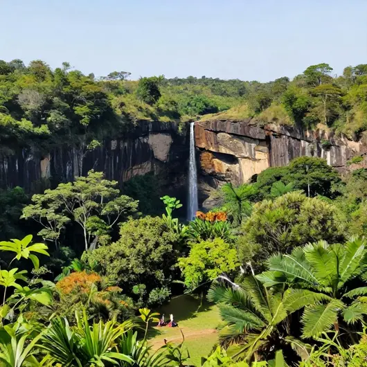 Explorando o Parque Salto do Rio Pelotas