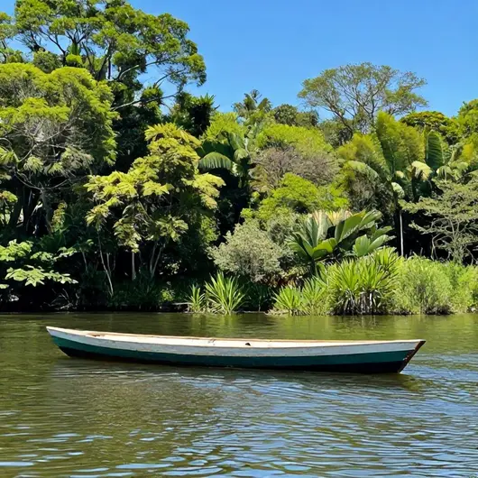 Passeio de Barco